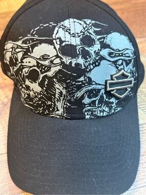 Harley-Davidson Black Skull Graphic Cap. Fitted am/md